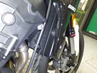 Triumph Trident 660 2024