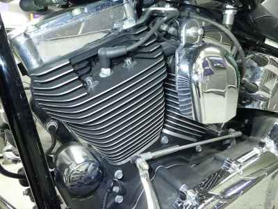 Harley-Davidson Deluxe FLSTN1580 2008