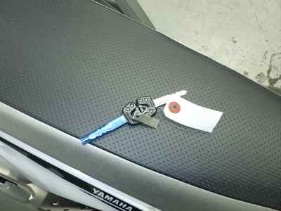 Yamaha XT250 Serow 2020