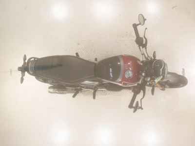 Triumph Speed 400 2024