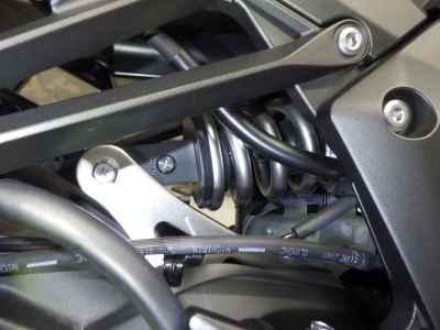 Kawasaki Ninja 1000SX 2021