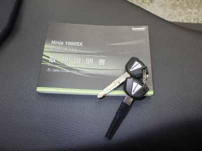 Kawasaki Ninja 1000SX 2021