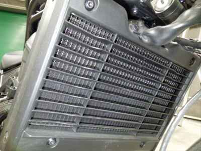 Honda Rebel CMX1100 2025