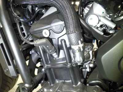 Honda Rebel CMX1100 2025