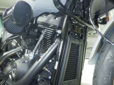 Harley-Davidson FXLRST1920 2025