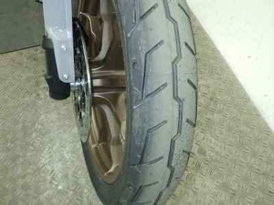 Harley-Davidson FXLRST1920 2025