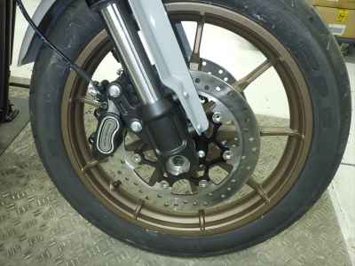 Harley-Davidson FXLRST1920 2025