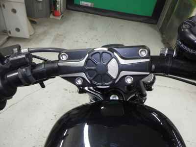 Harley-Davidson Sportster XL1200N 2010