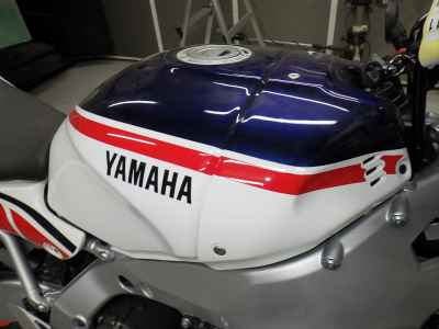 Yamaha XSR900 GP 2025