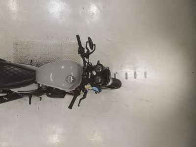 Triumph Speed Twin 1200 2019