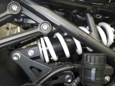 Kawasaki Z900RS Cafe 2024