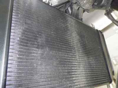 Kawasaki Z900RS Cafe 2024