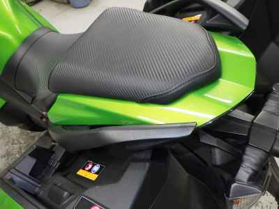 Kawasaki Ninja 1000 2013