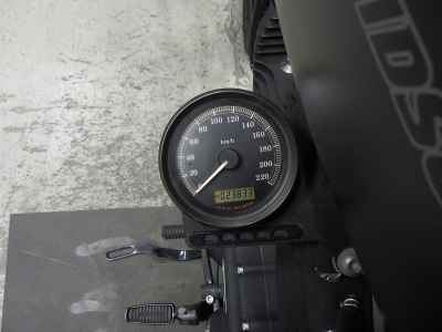 Harley-Davidson Sportster Iron XL883N 2010