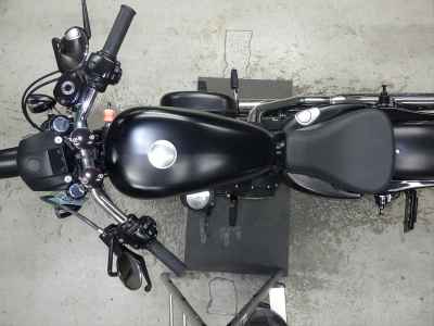 Harley-Davidson Sportster Iron XL883N 2010