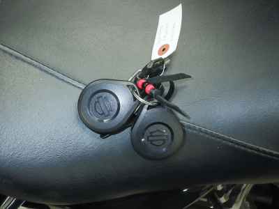 Harley-Davidson Street Glide FLHXS1690 2015