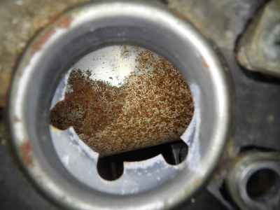 Kawasaki ZZR400 2005