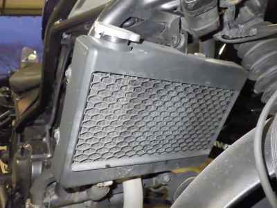 Honda Rebel S CMX250 2022