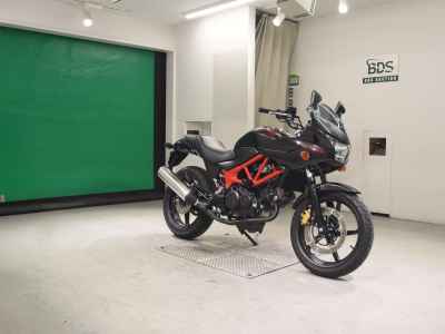 Honda VTR250F 2013