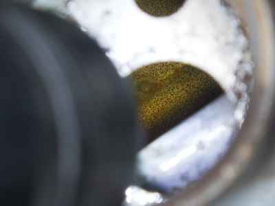 Honda Rebel CMX250 2017