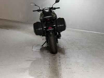 Triumph Tiger Sport 800 2025