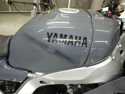 Yamaha XSR900 GP 2024