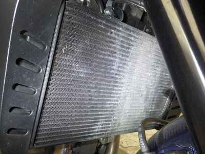 Honda Hawk 11 2024