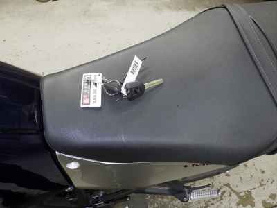 Honda Hawk 11 2024