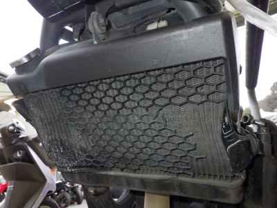 Honda Rebel CMX250 2020