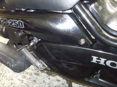 Honda PS250 Big Ruckus 2006