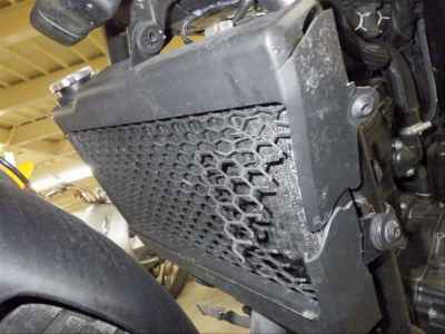 Honda Rebel CMX250 2020