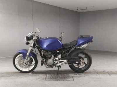 Suzuki Goose 250