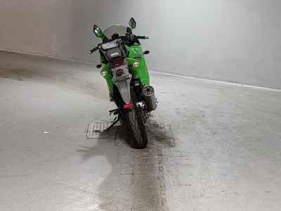 Kawasaki Ninja 250R 2008