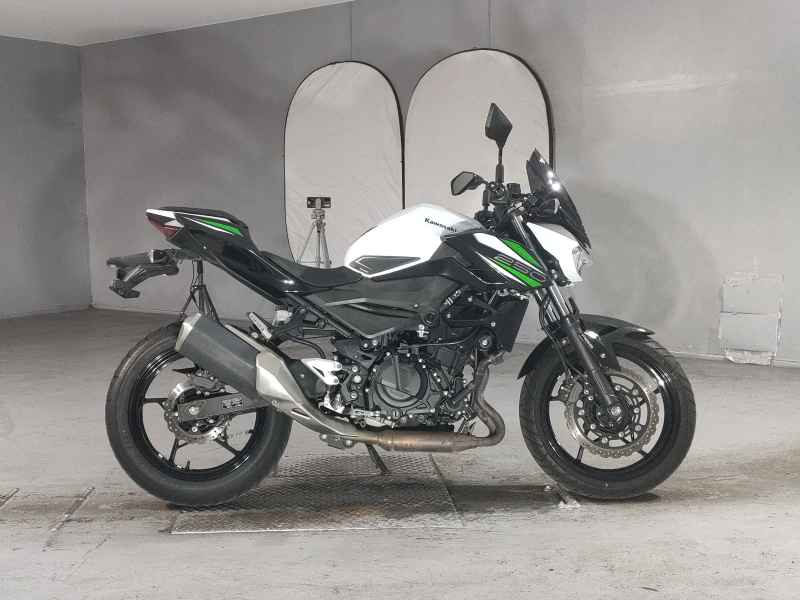 Kawasaki Z250 2019
