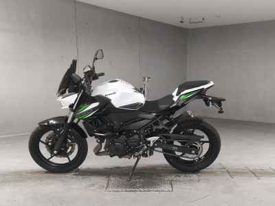 Kawasaki Z250 2019