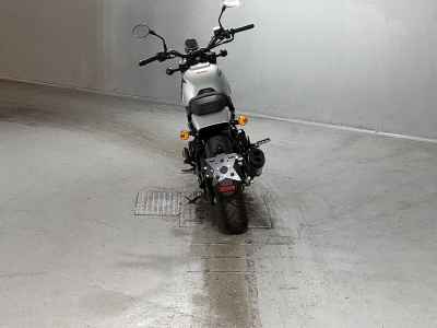 Harley-Davidson X500 2023