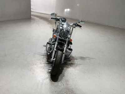 Harley-Davidson Sportster Custom XL1200C 2013