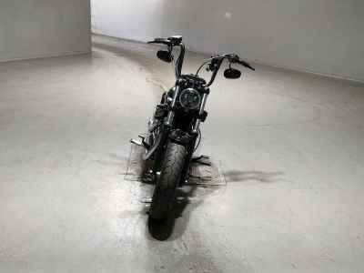 Harley-Davidson Sportster Forty-Eight XL1200X 2013