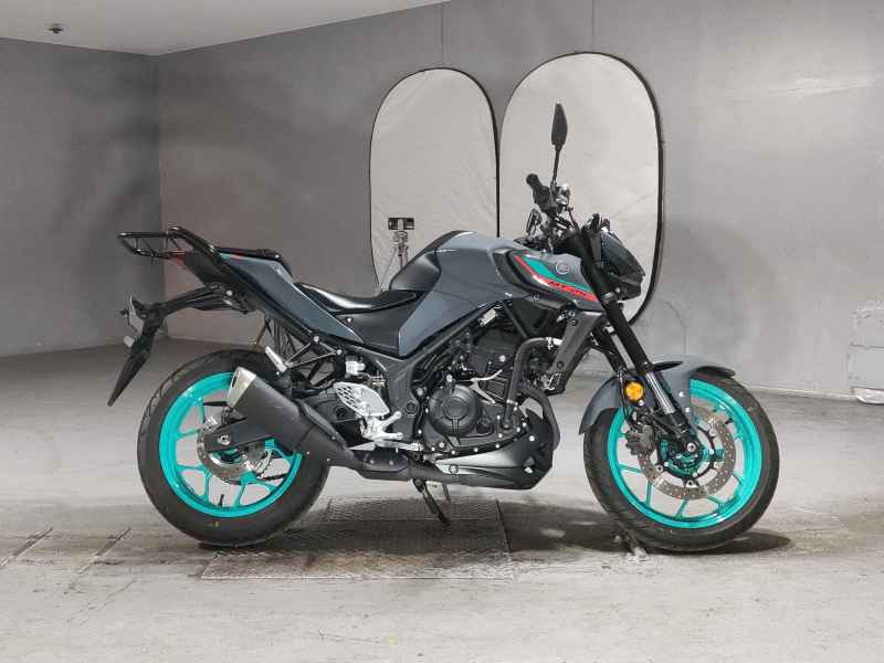 Yamaha MT-25 2022
