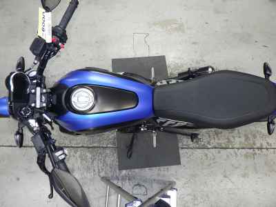 Ducati Scrambler Icon 2024