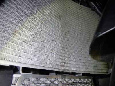 Kawasaki Ninja ZX-10R 2024