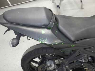 Kawasaki Ninja 250R 2008