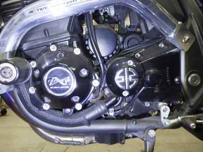 Kawasaki ZRX1200 Daeg 2014