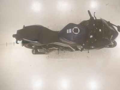 Kawasaki Ninja 250 2023