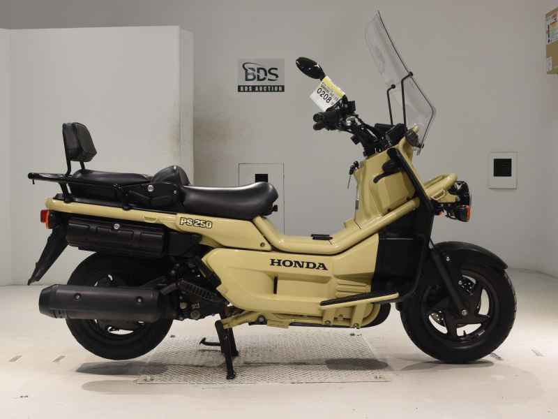 Honda PS250 Big Ruckus 2006