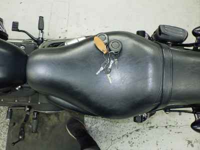 Harley-Davidson Sportster Iron XL883N 2014