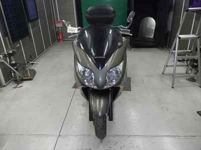 Honda Forza Z 2008