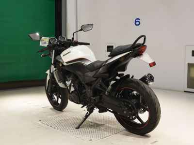 Kawasaki Ninja 250R 2011