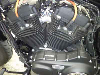 Harley-Davidson Sportster Forty-Eight XL1200X 2017