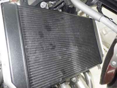 Kawasaki Z900RS 2025